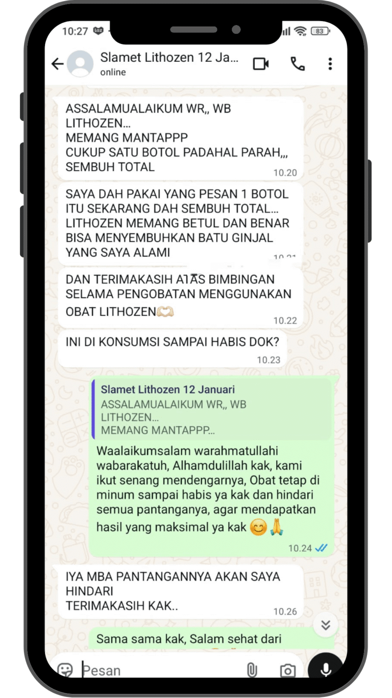 obat batu ginjal obat penghancur batu ginjal obat kencing batu obat batu ginjal ampuh obat peluruh batu ginjal