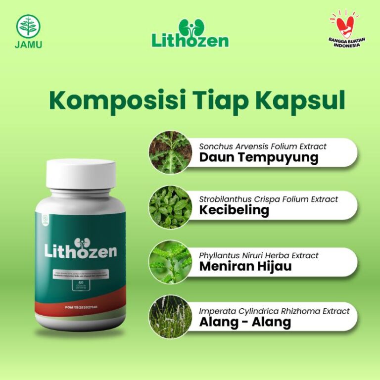 obat batu ginjal obat penghancur batu ginjal obat kencing batu obat batu ginjal ampuh obat peluruh batu ginjal